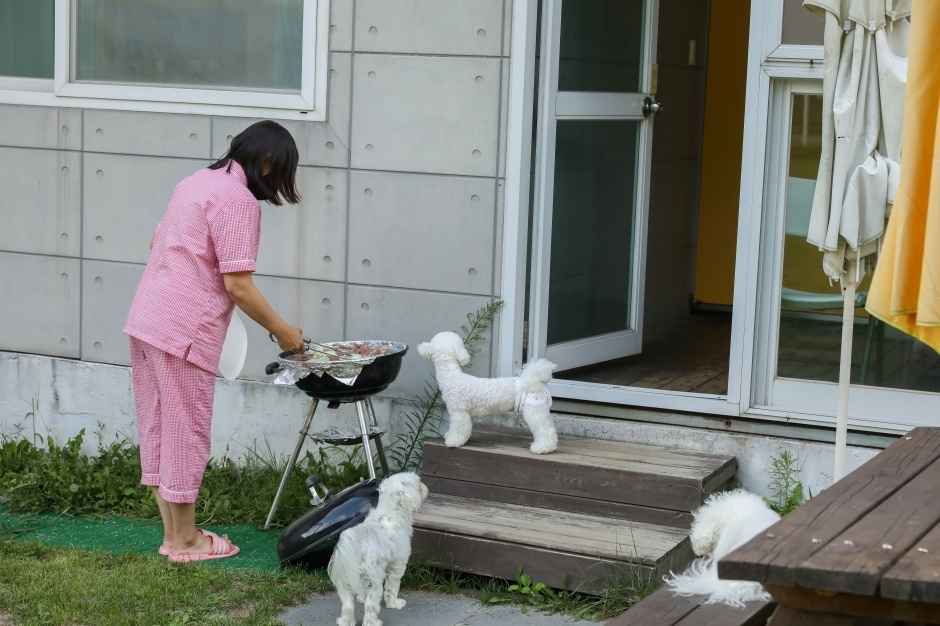 도그밀리(DOGMILY) 이미지 7