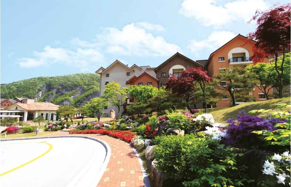 탑스텐리조트동강시스타_Tops 10 Resort Donggang Cist 이미지 3