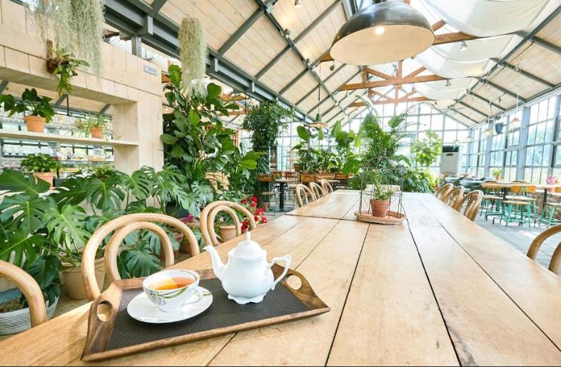 에덴 파라다이스 호텔 이미지 9