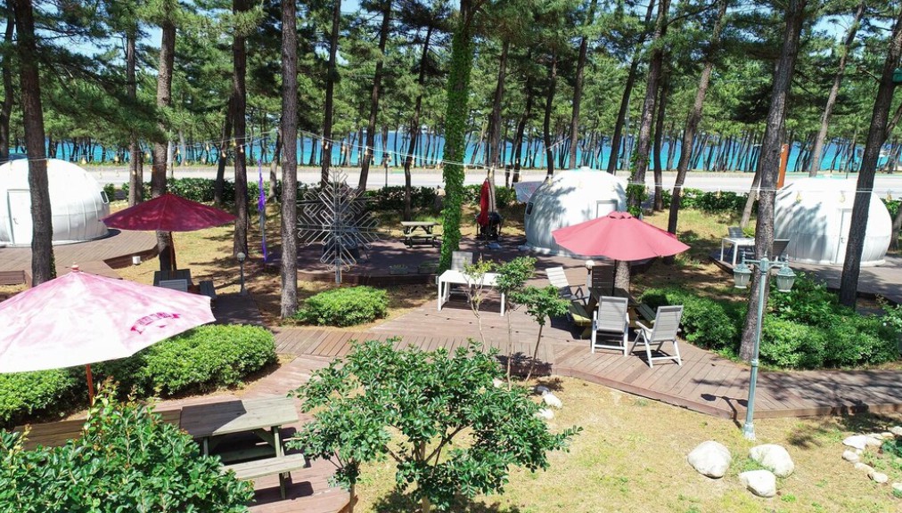 강릉 오란다 펜션 (Gangneung Oranda Pension) 이미지 2