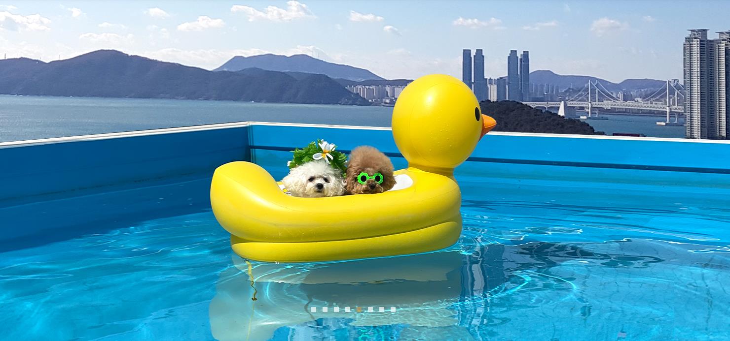 부산 영무파라드호텔 이미지 8