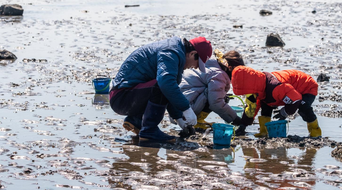 부안 모항레저타운 이미지 4