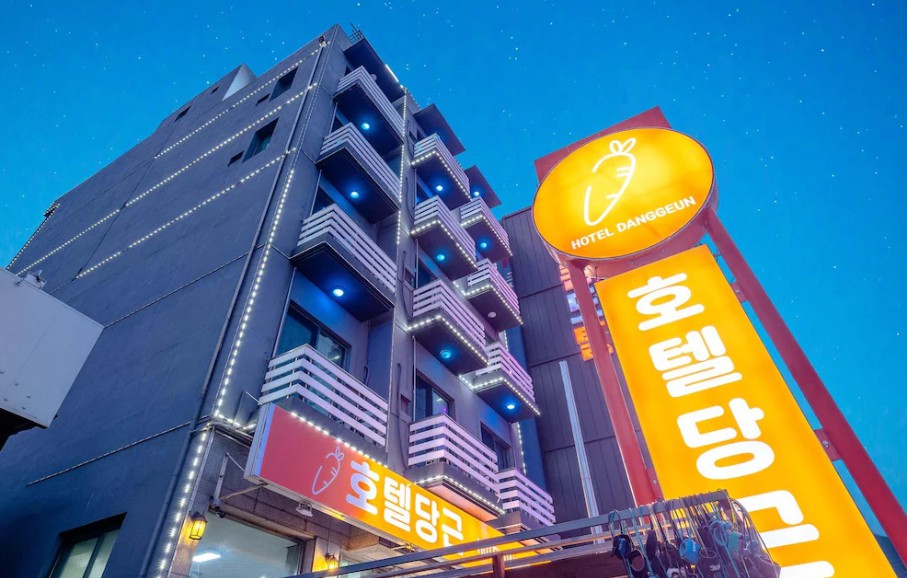 양양 호텔 당근 이미지 1