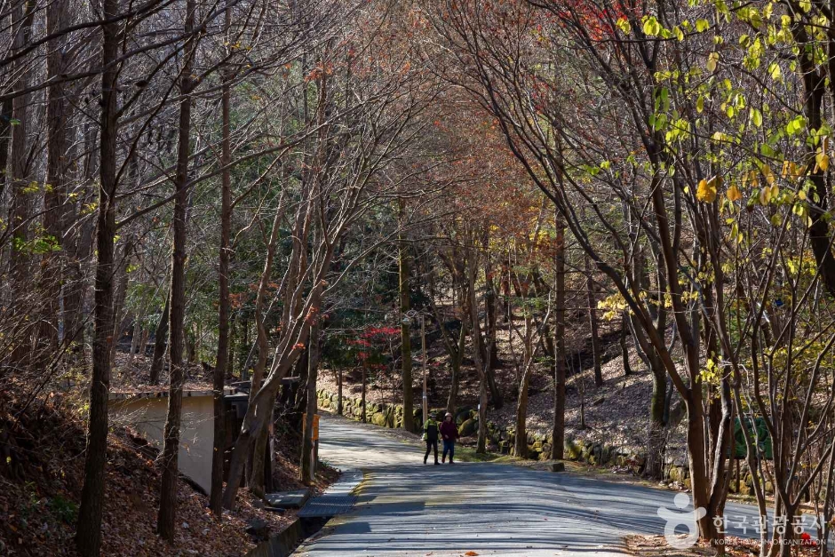 만인산 자연휴양림 이미지 3