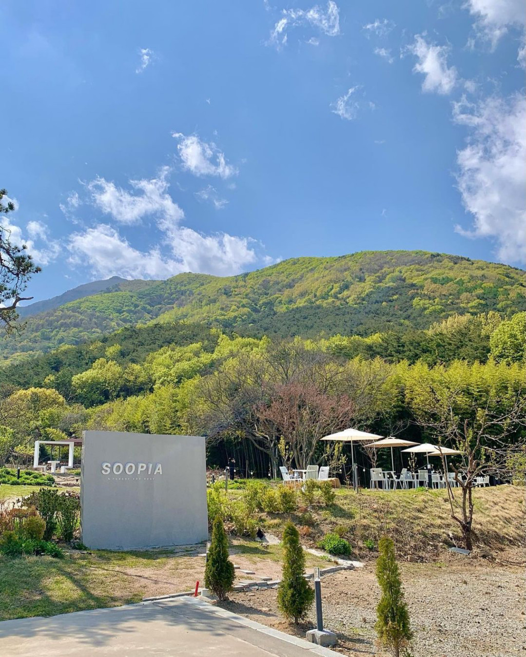 카페수피아 이미지 8