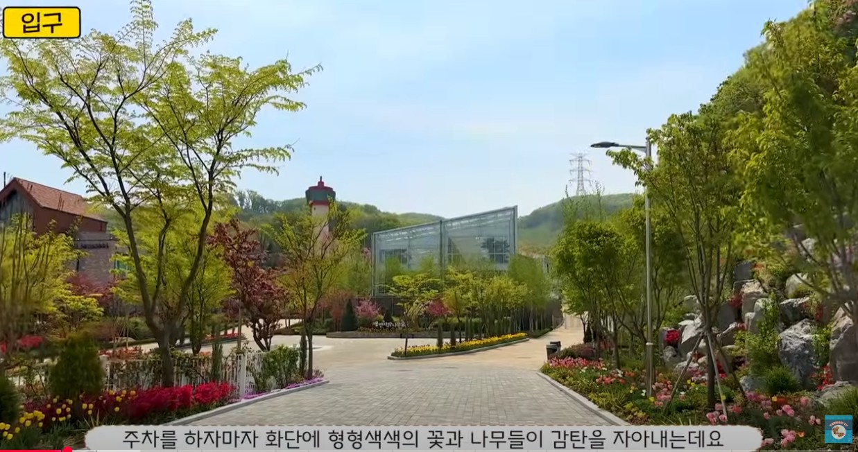 용인 베툴라 대형카페 이미지 7
