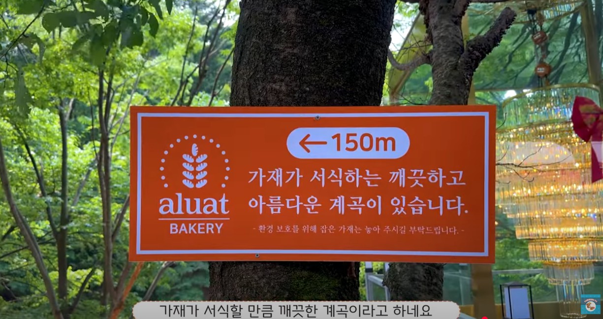 용인 알루엣베이커리 이미지 2