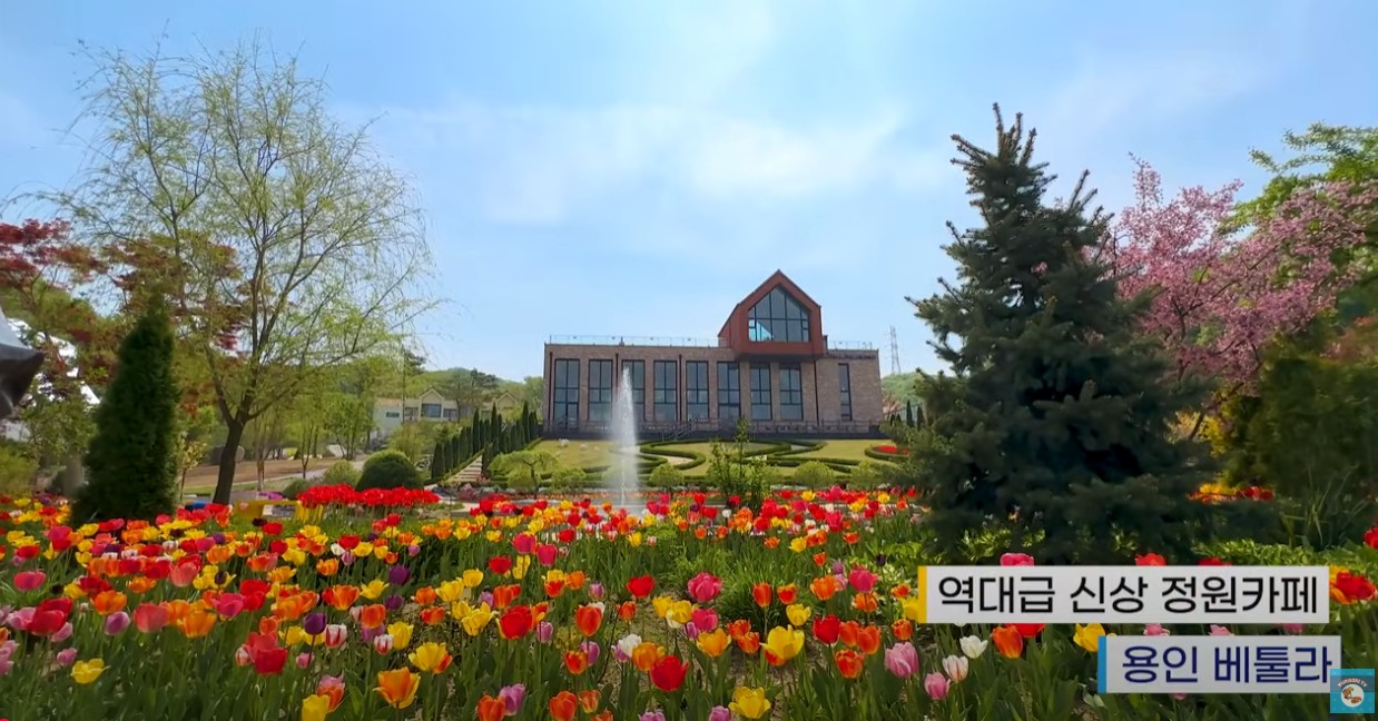 용인 베툴라 대형카페 이미지 1