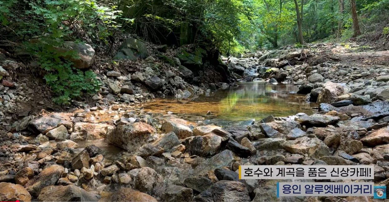 용인 알루엣베이커리 이미지 7