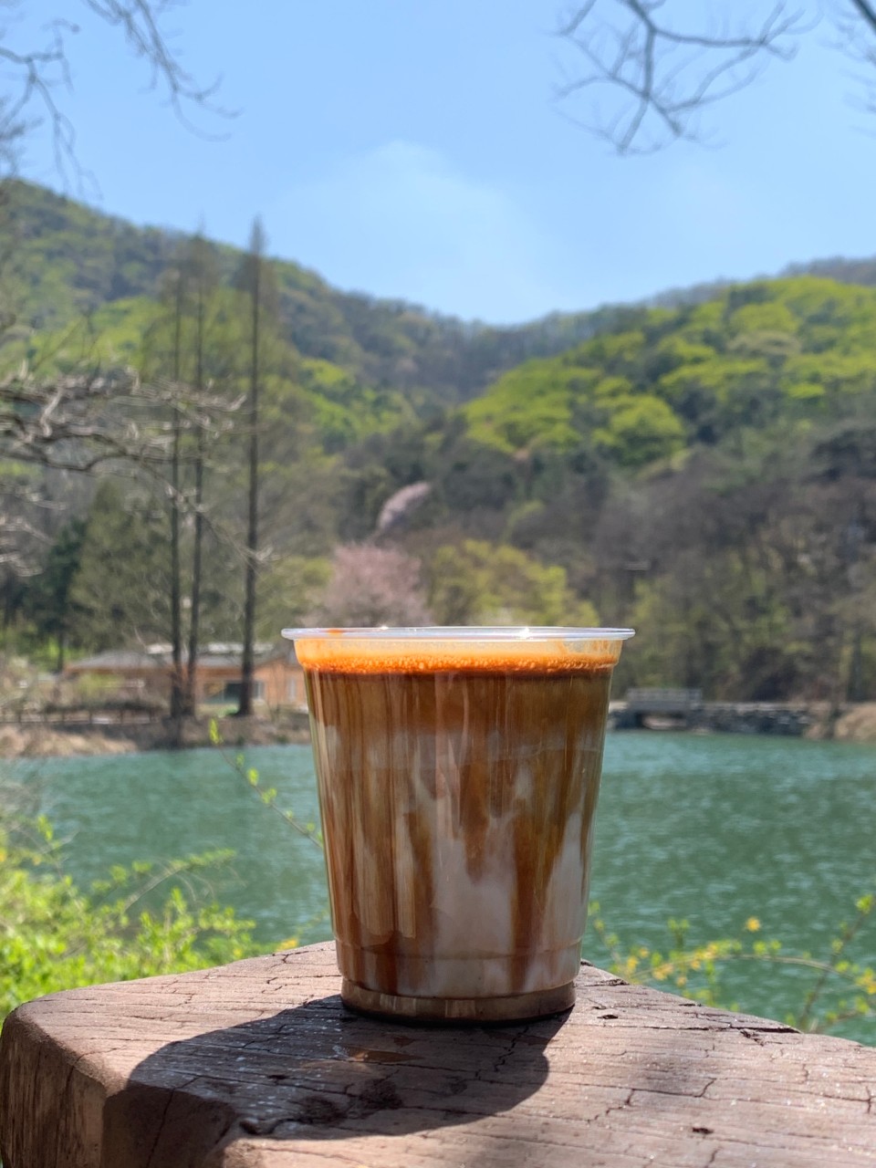 엔학고레 이미지 6