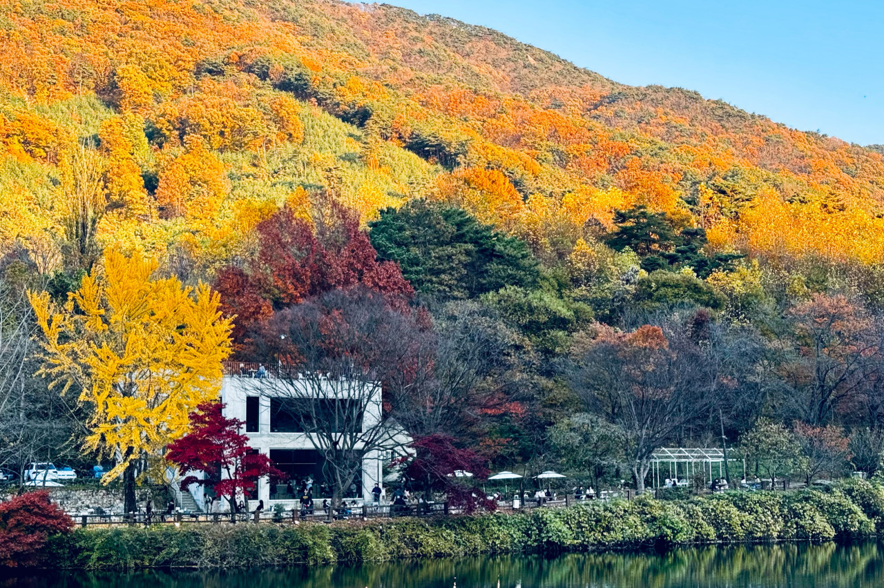 엔학고레 이미지 1