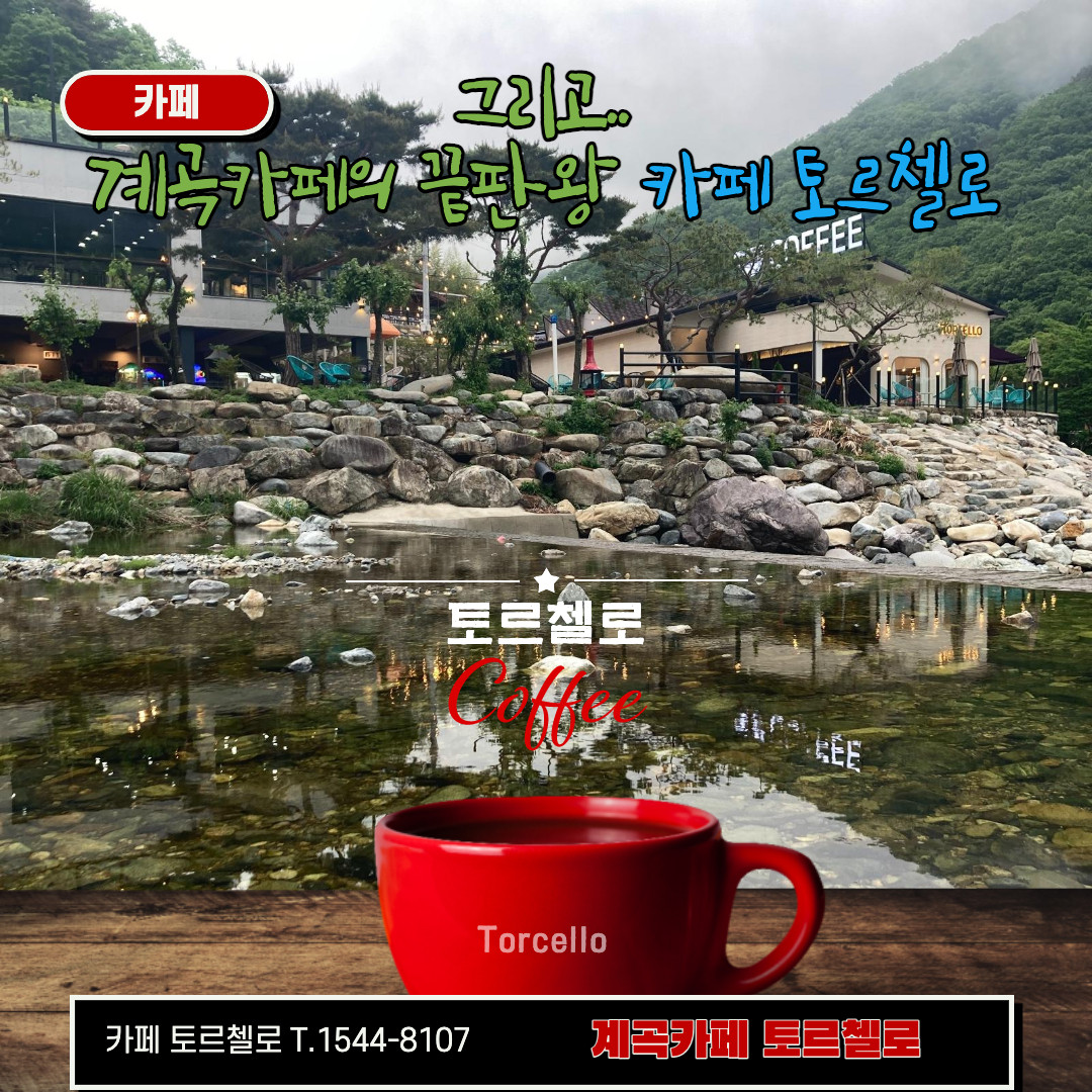 토르첼로 이미지 2