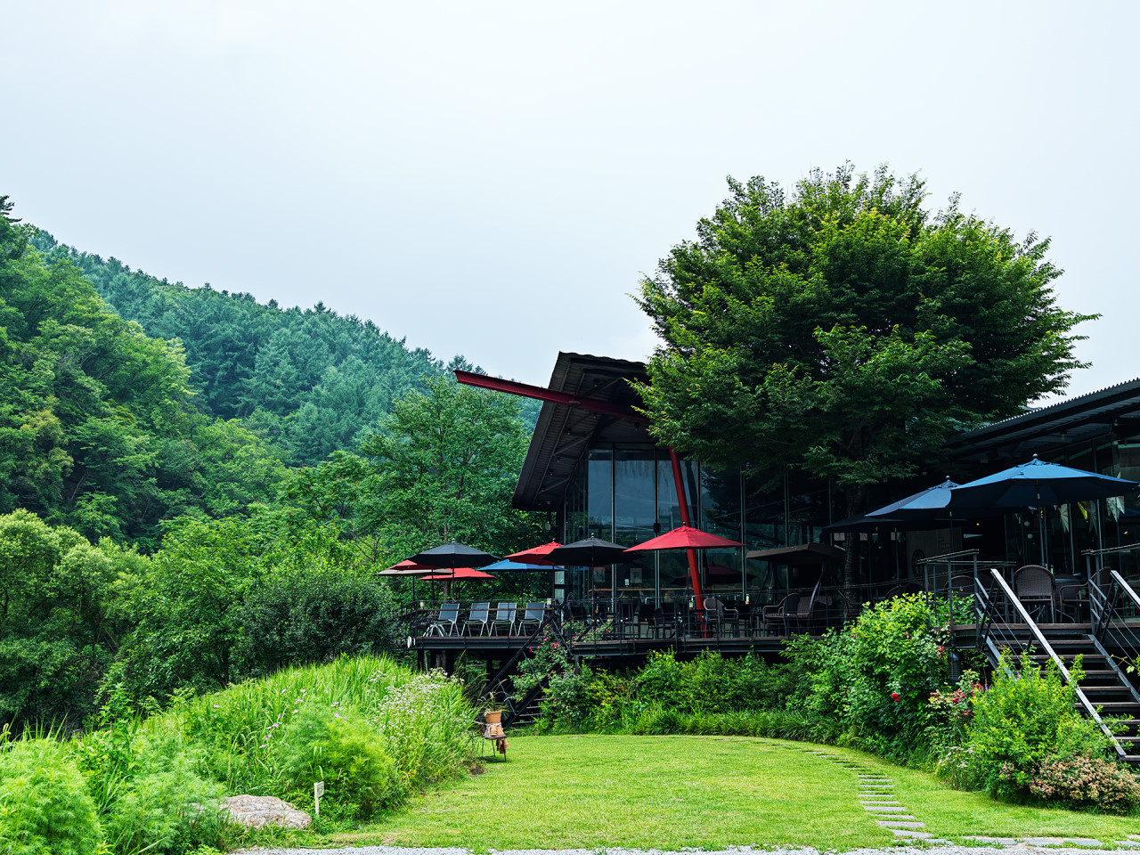 엔로제 이미지 5