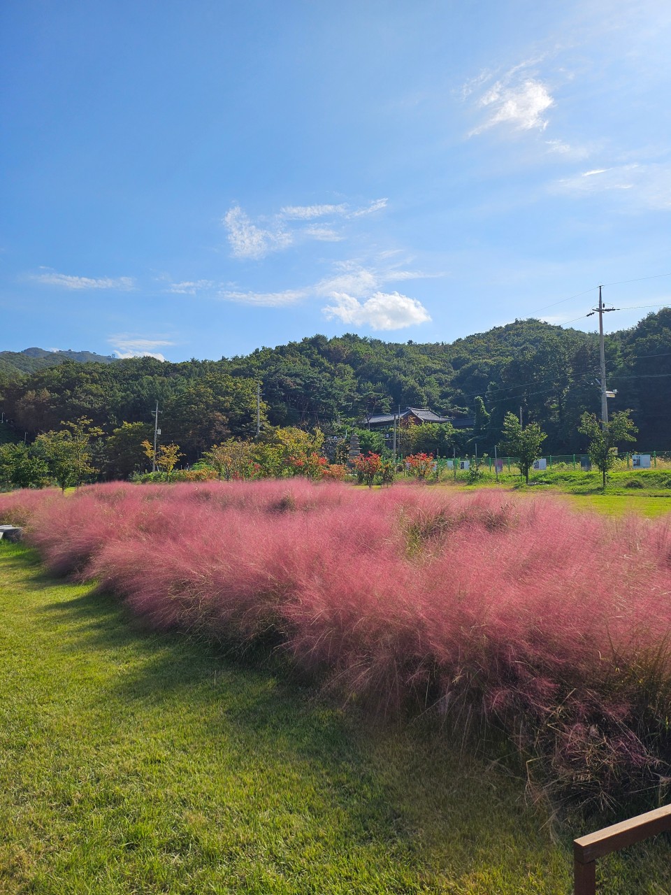 마메르 이미지 2