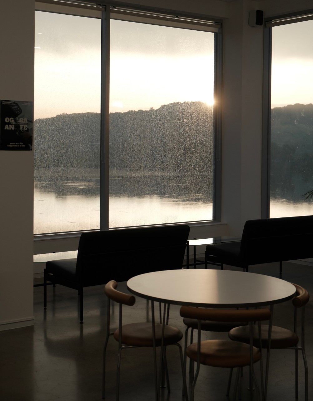 오간커피 이미지 3