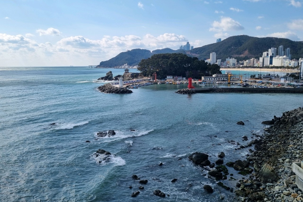 코랄라니 이미지 6