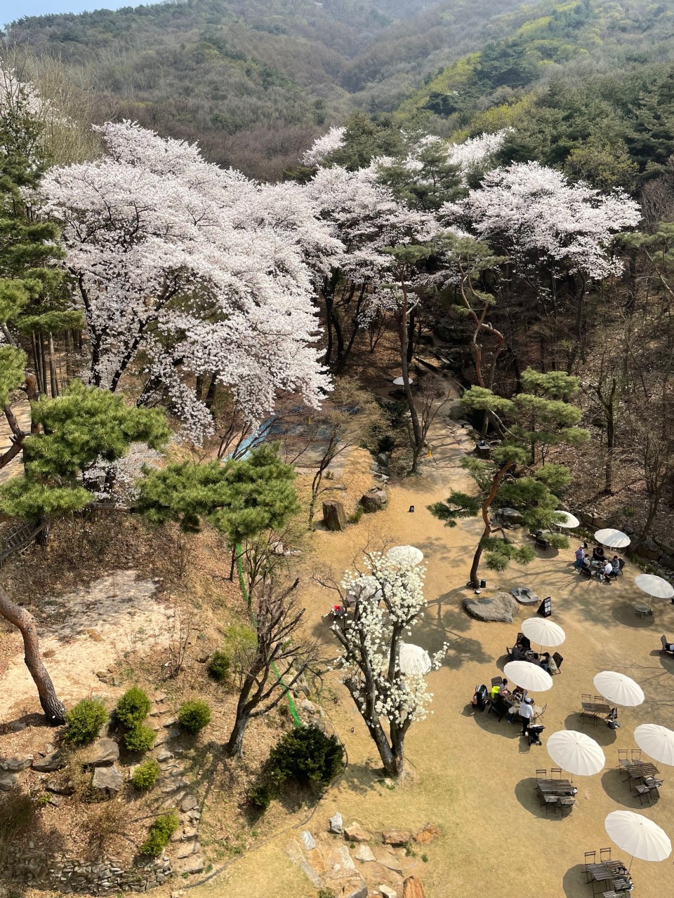 키스톤스피시즈 이미지 3