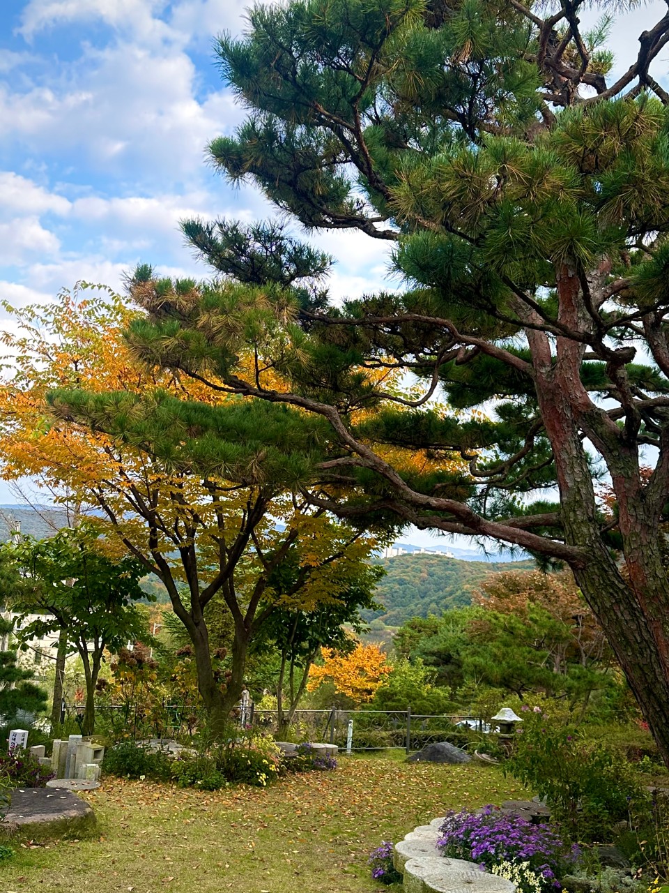 카페 레이크 106 이미지 8