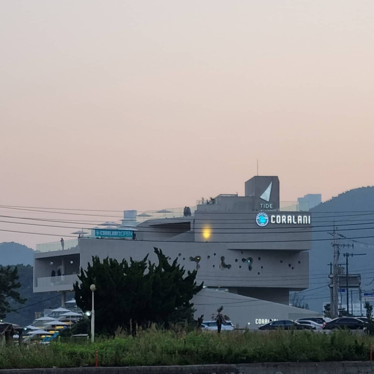 코랄라니 이미지 2