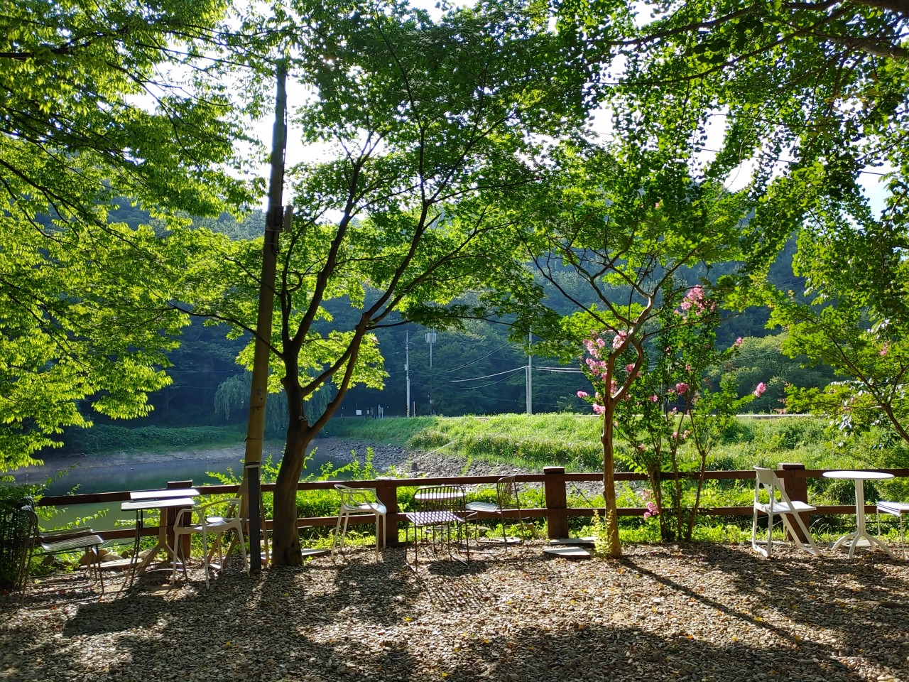 엔학고레 이미지 2