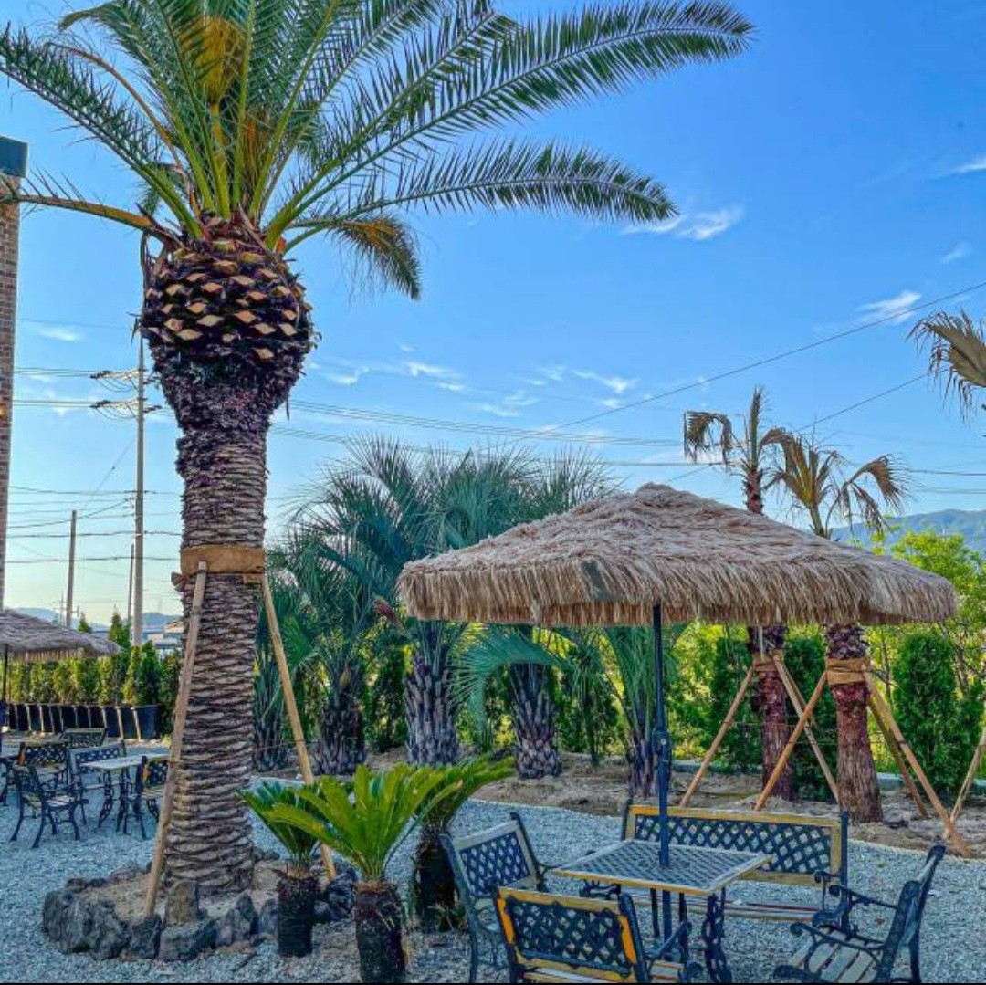 비아조 이미지 6