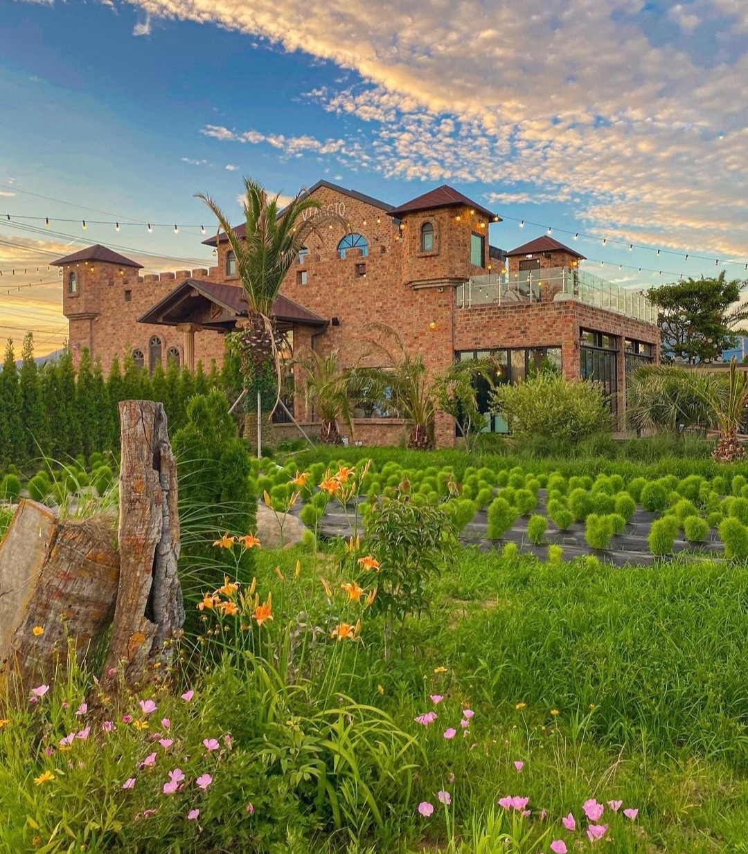 비아조 이미지 2