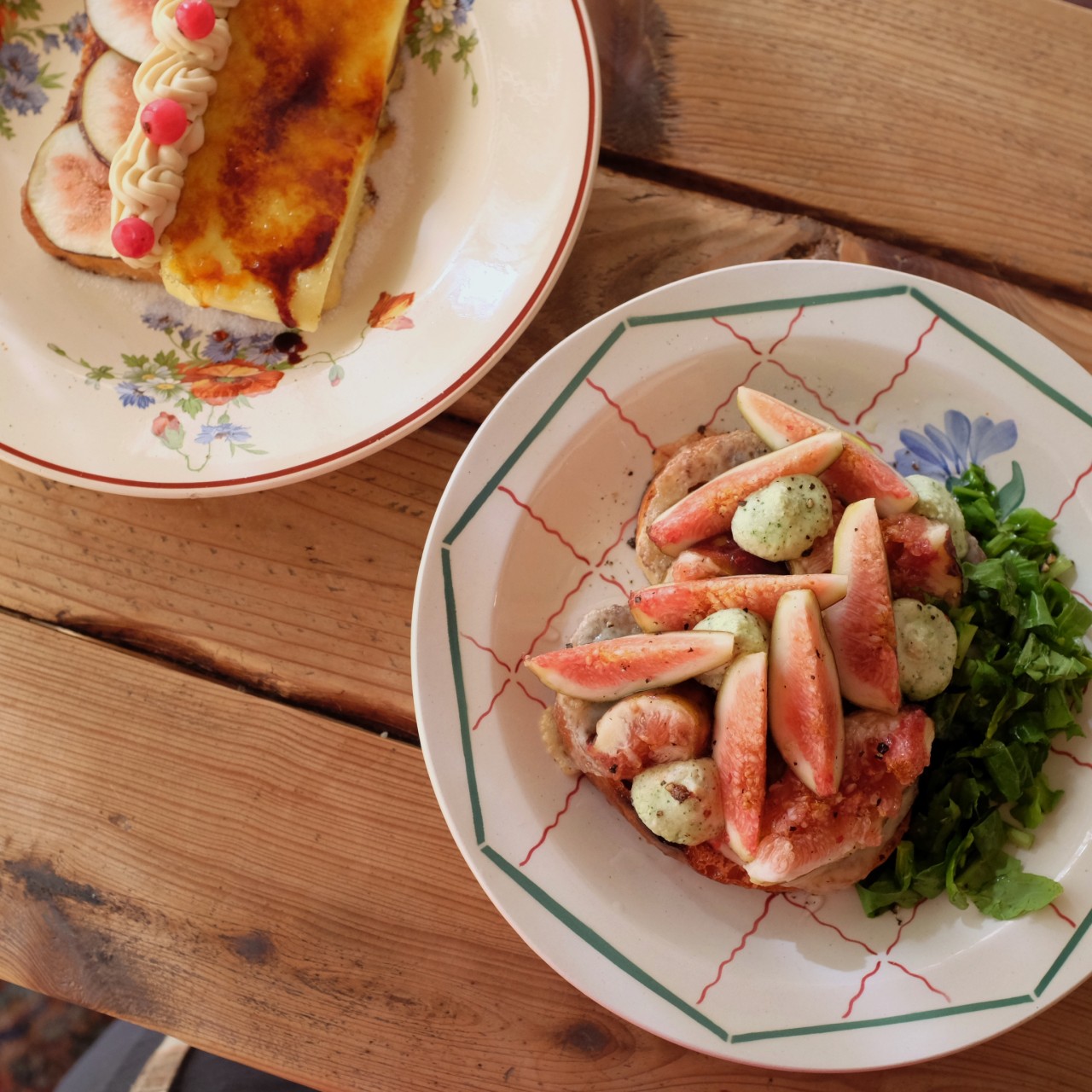 세이지핀치 이미지 1