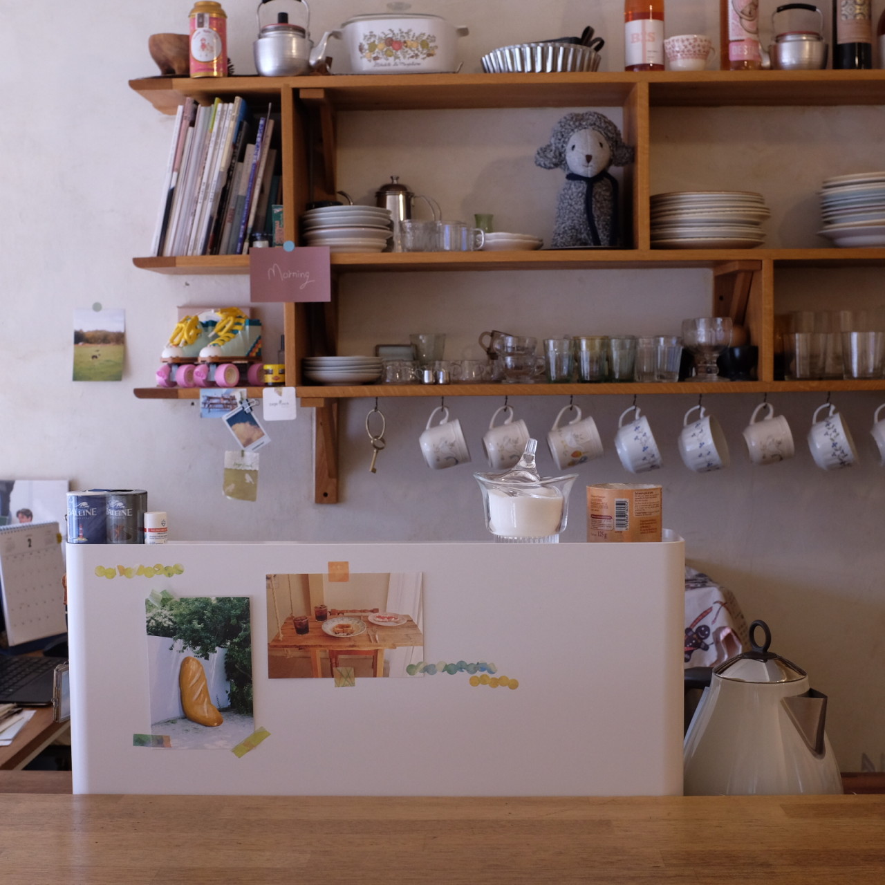 세이지핀치 이미지 6