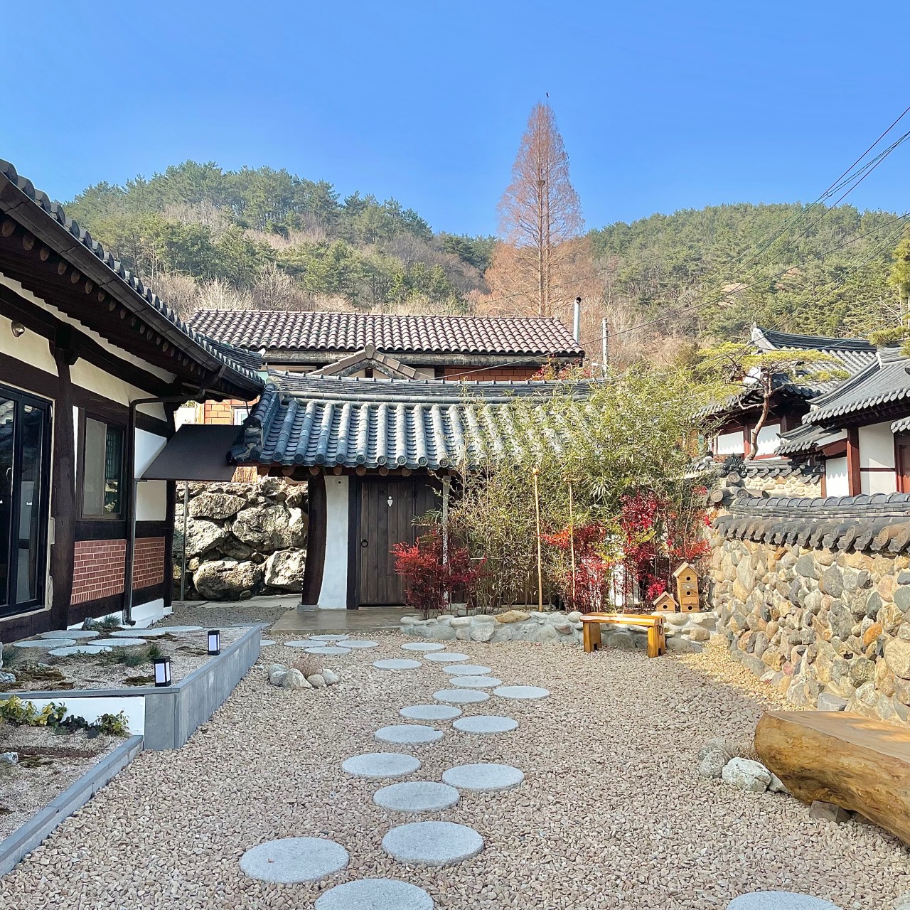 하녹 이미지 7