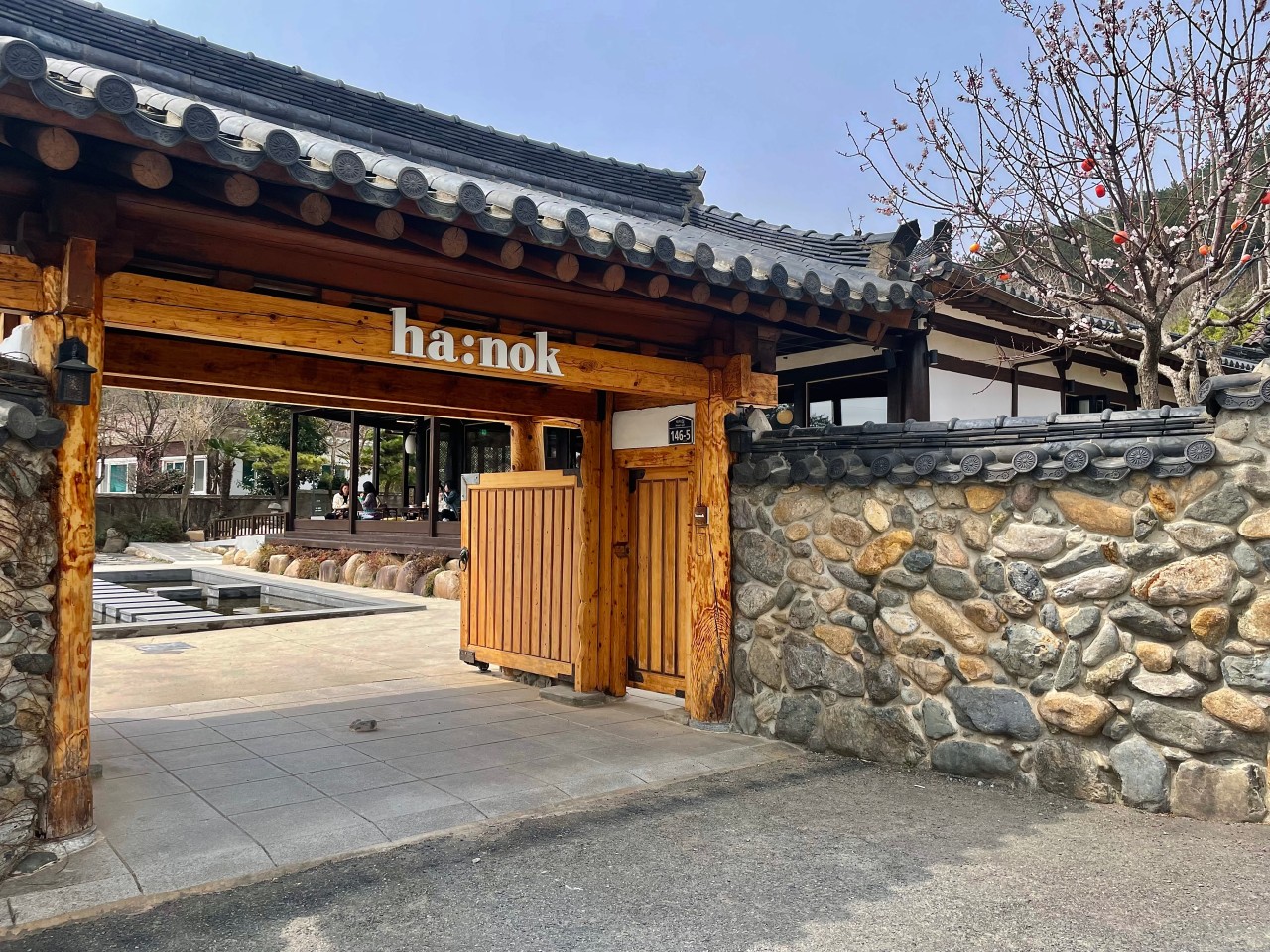 하녹 이미지 6