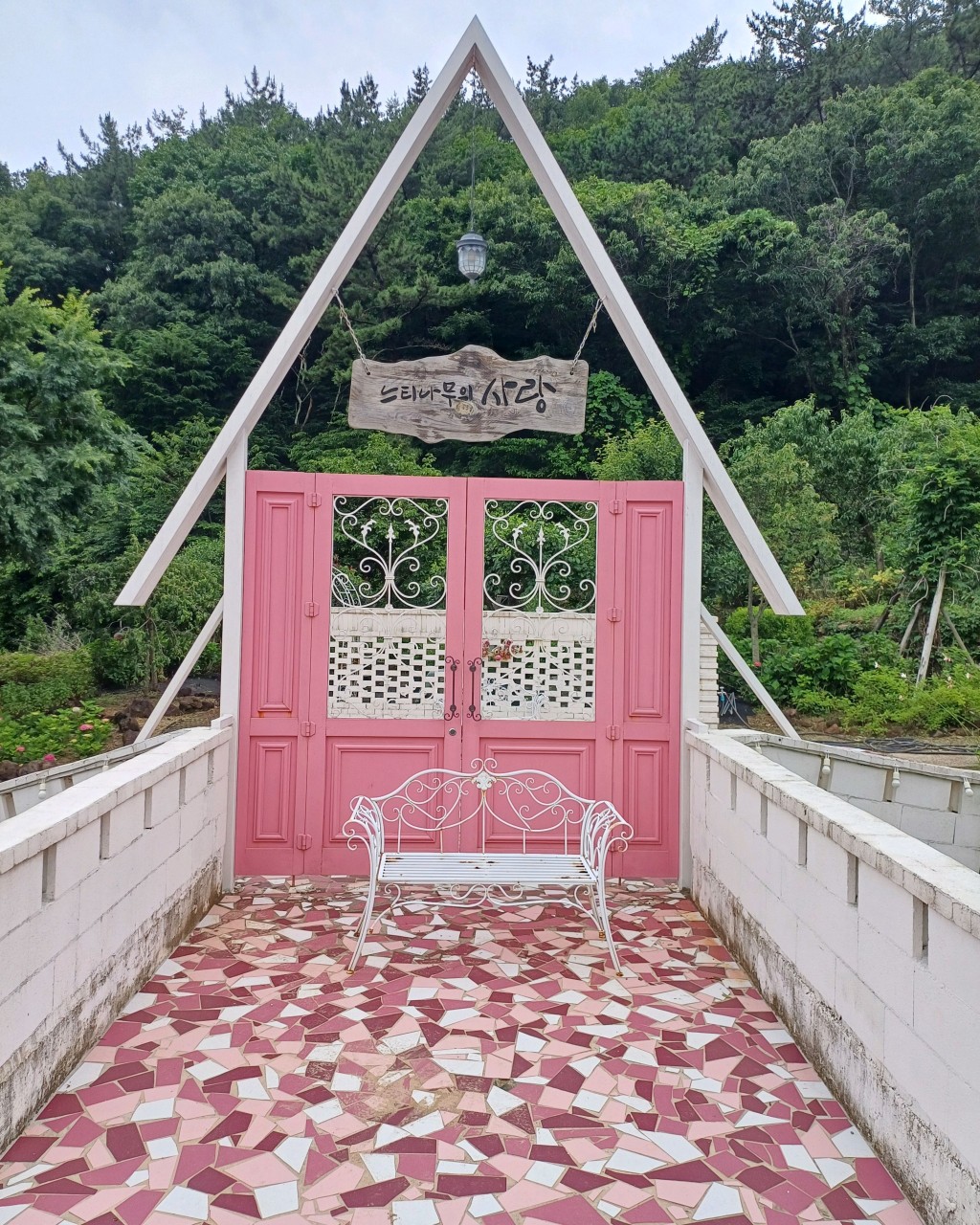 느티나무의 사랑 카페 이미지 6