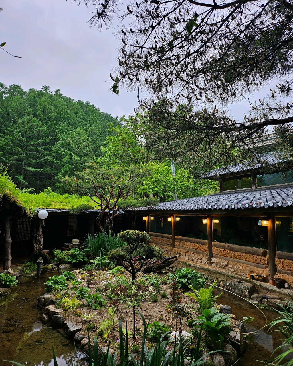 이체커피 이미지 1