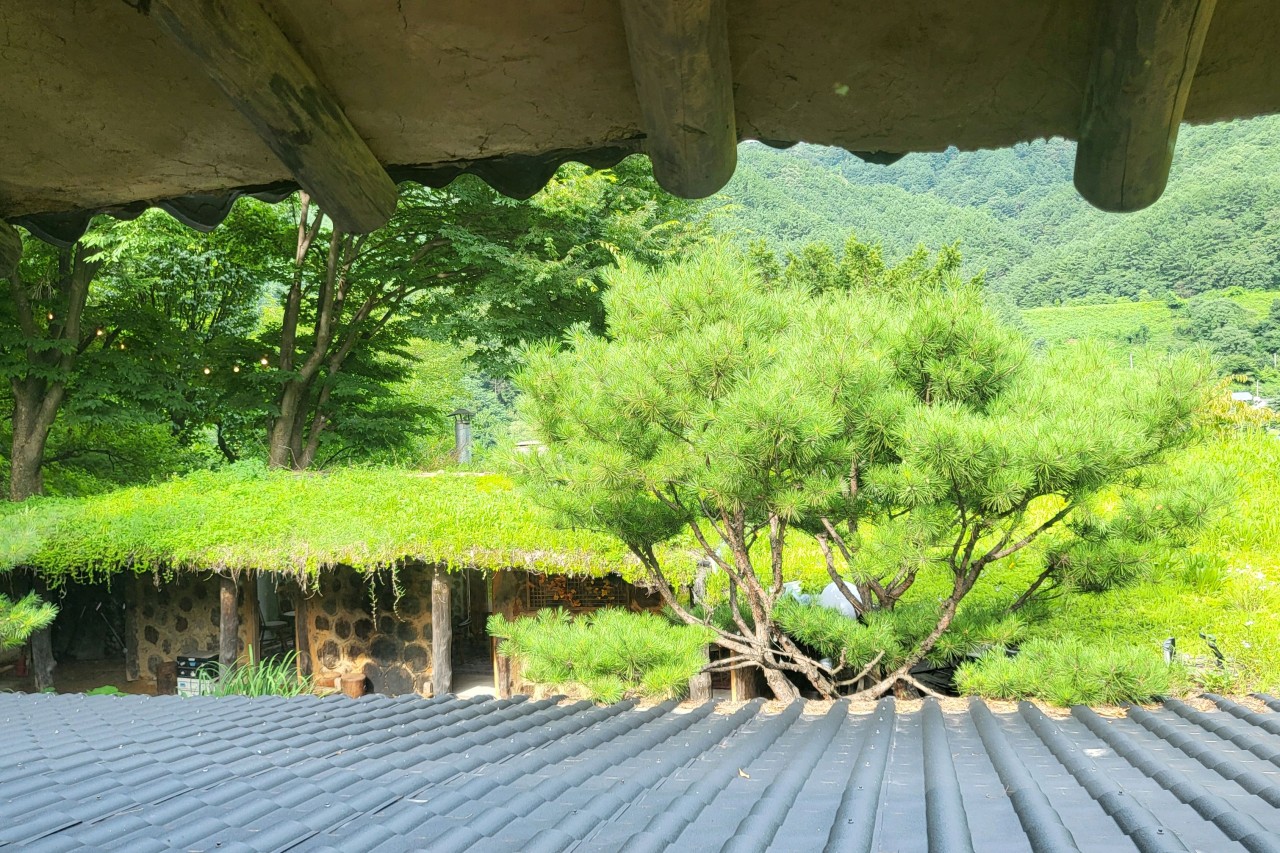 이체커피 이미지 8