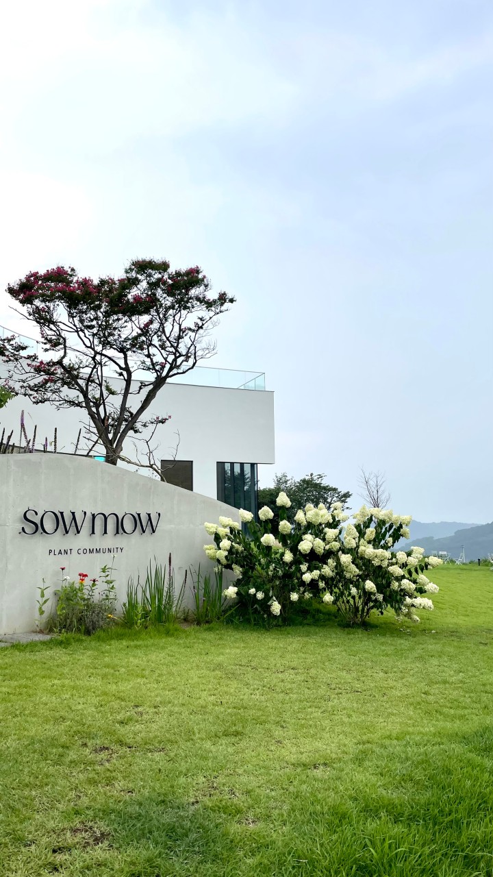소우모우 이미지 1