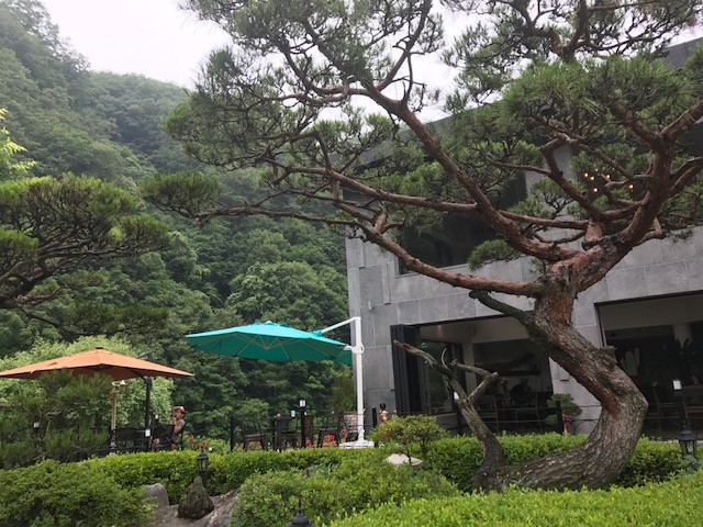 내츄럴가든529 이미지 3