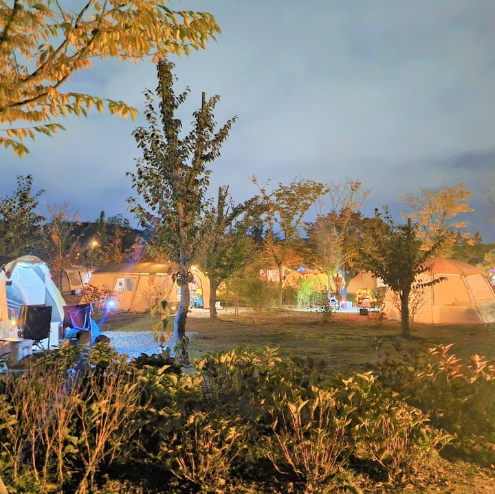 강릉 342camp 이미지 1
