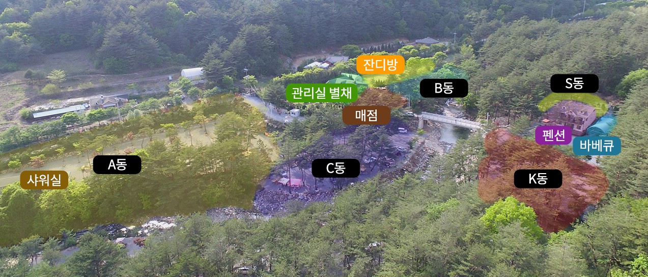 영월 소나무와 계곡 캠핑장 이미지 7