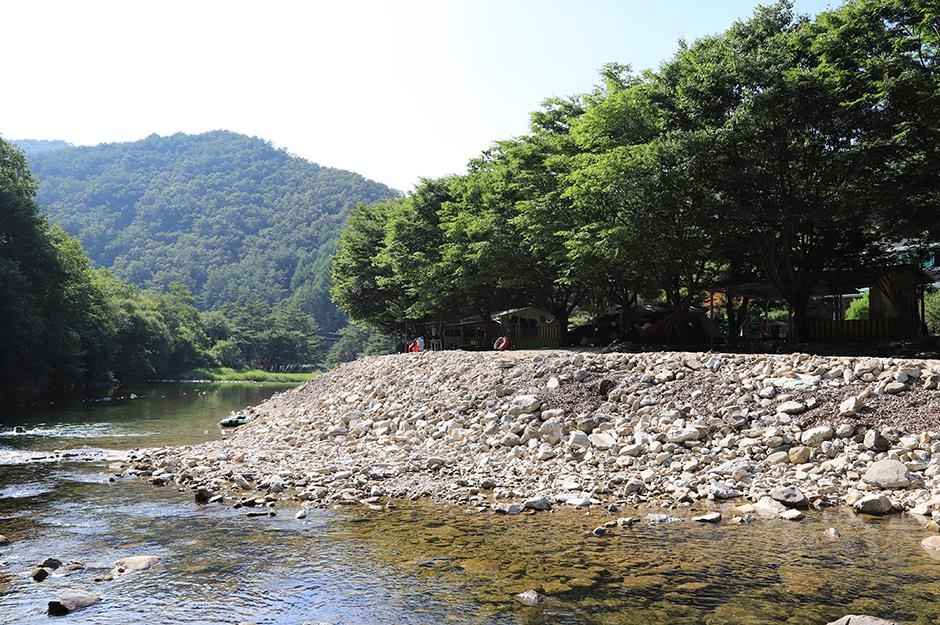 영월 정든오토캠핑장 이미지 1