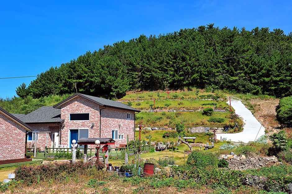 금오도 써니아일랜드야영장 이미지 2