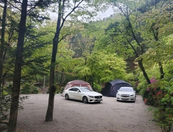 포천 아버지의숲 산정캠프 이미지 2