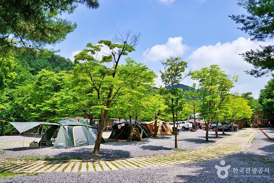 제천 드래곤 오토캠핑장 이미지 6