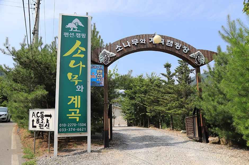 영월 소나무와 계곡 캠핑장 이미지 5