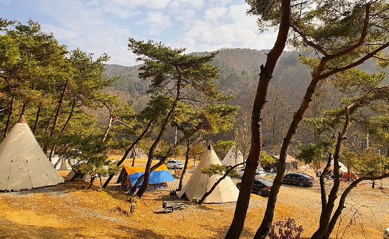 춘천 황금박쥐 캠핑장 이미지 1