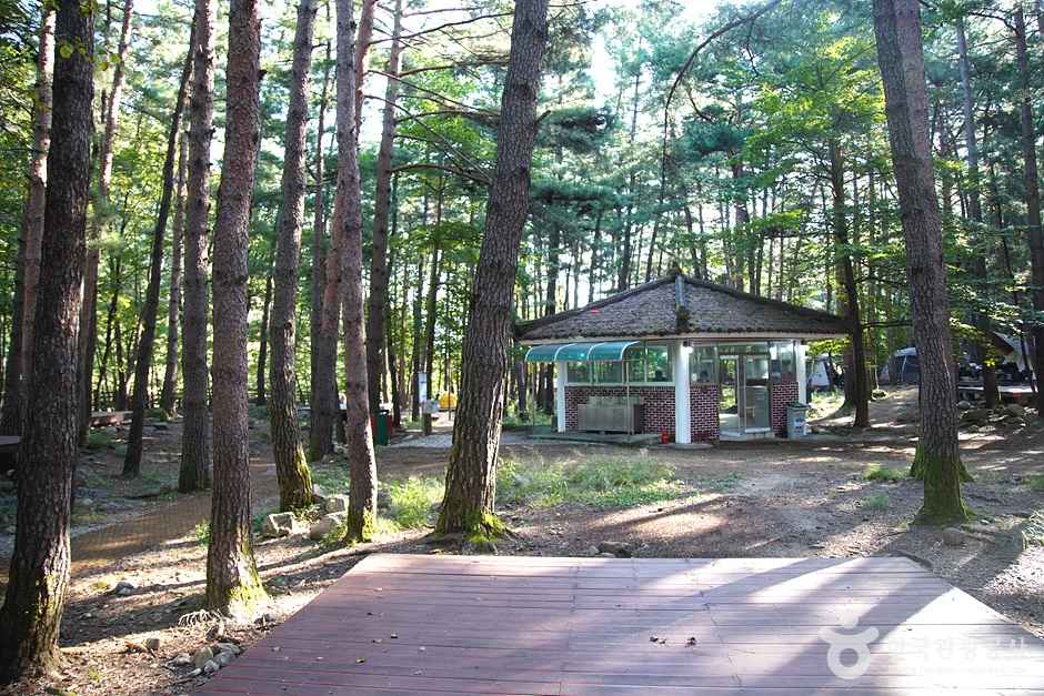 동해 무릉계곡힐링캠프장 이미지 8