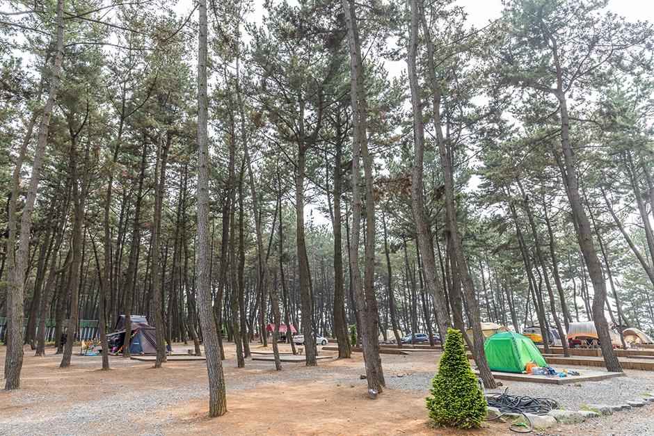 장항 오토캠핑장 이미지 6