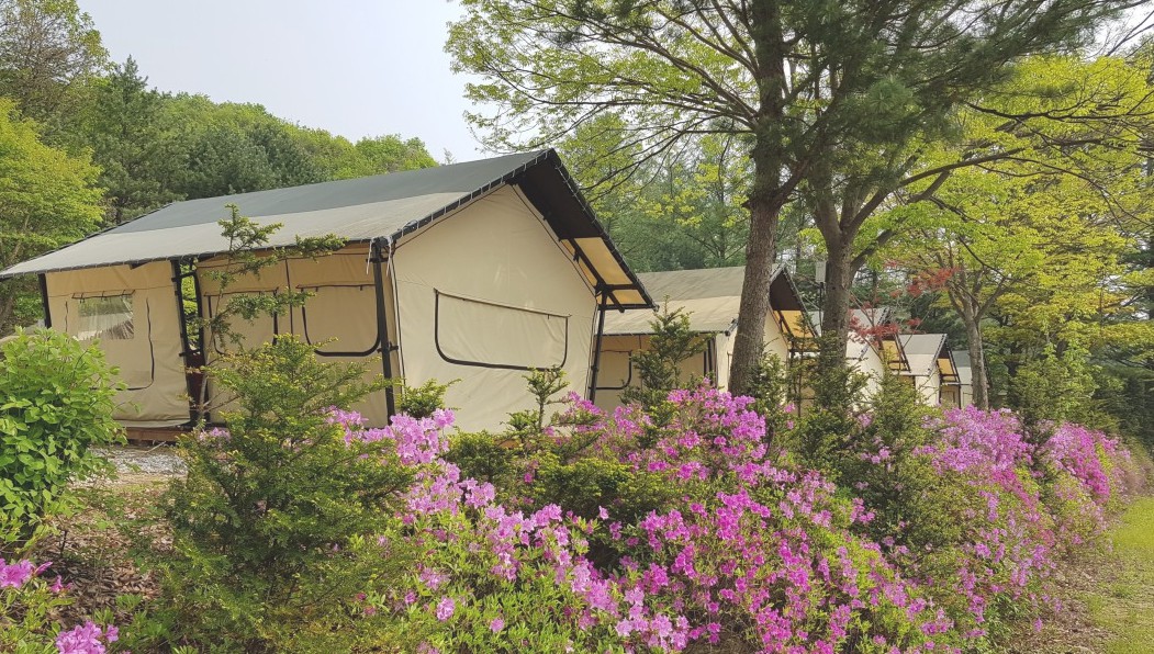 포천 백운계곡글램핑 이미지 3