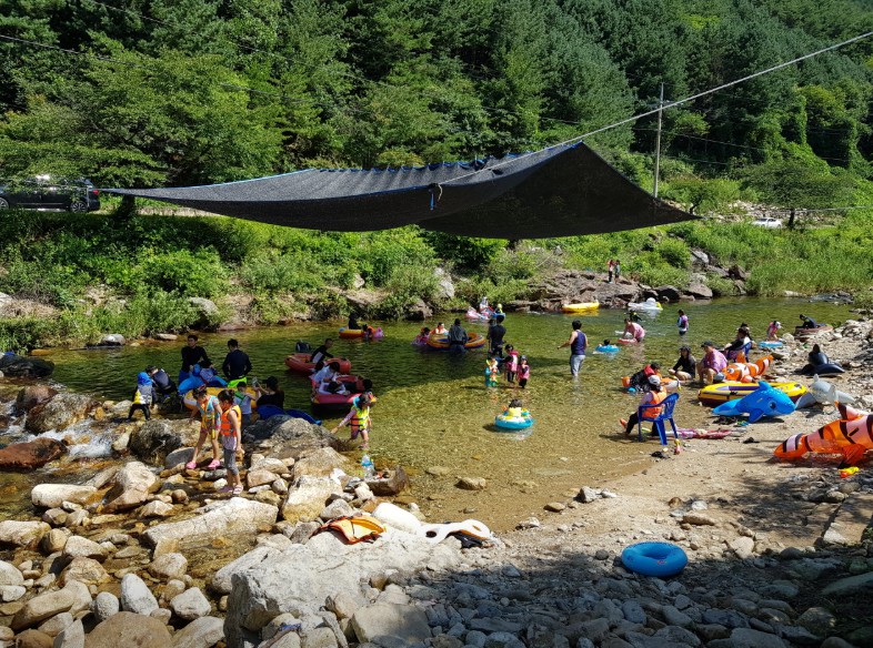 영월 뜨란솔 캠핑장 이미지 2