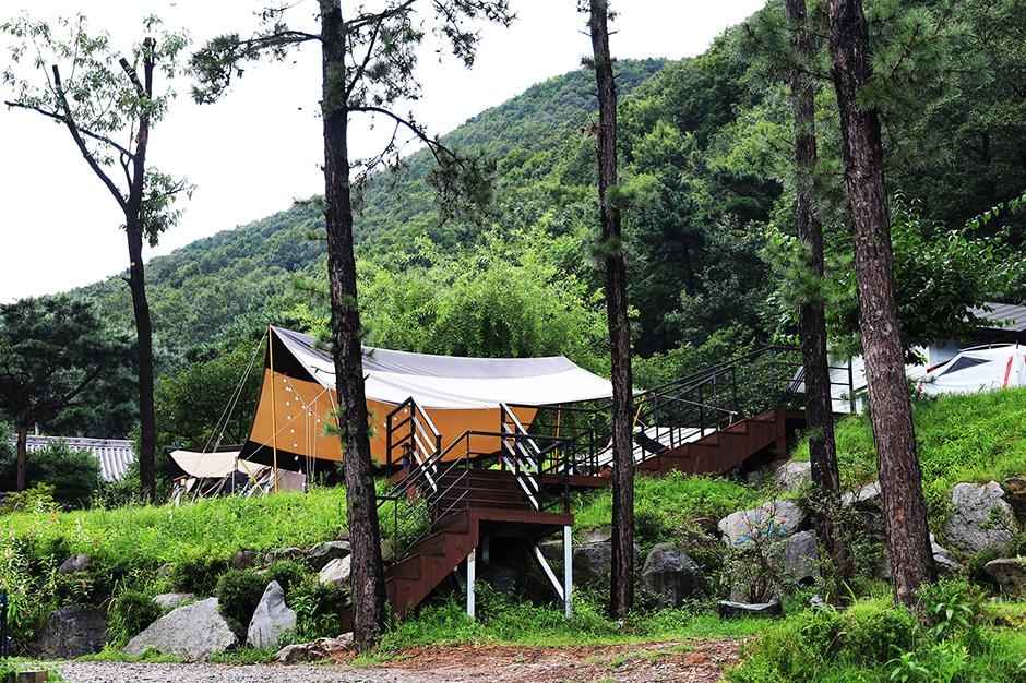 용인자연숲캠핑장 이미지 6
