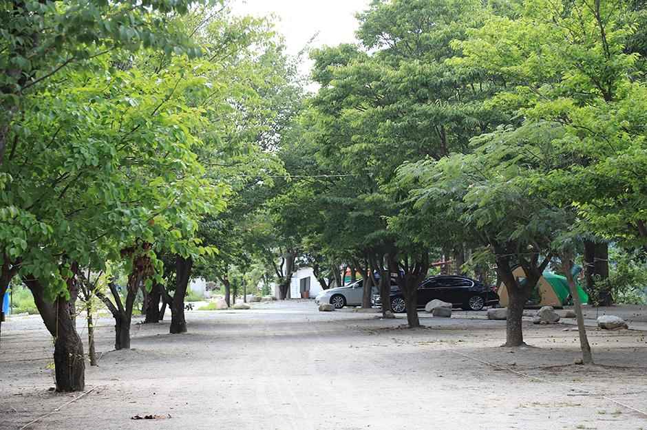 인제 돌배캠핑장 이미지 7