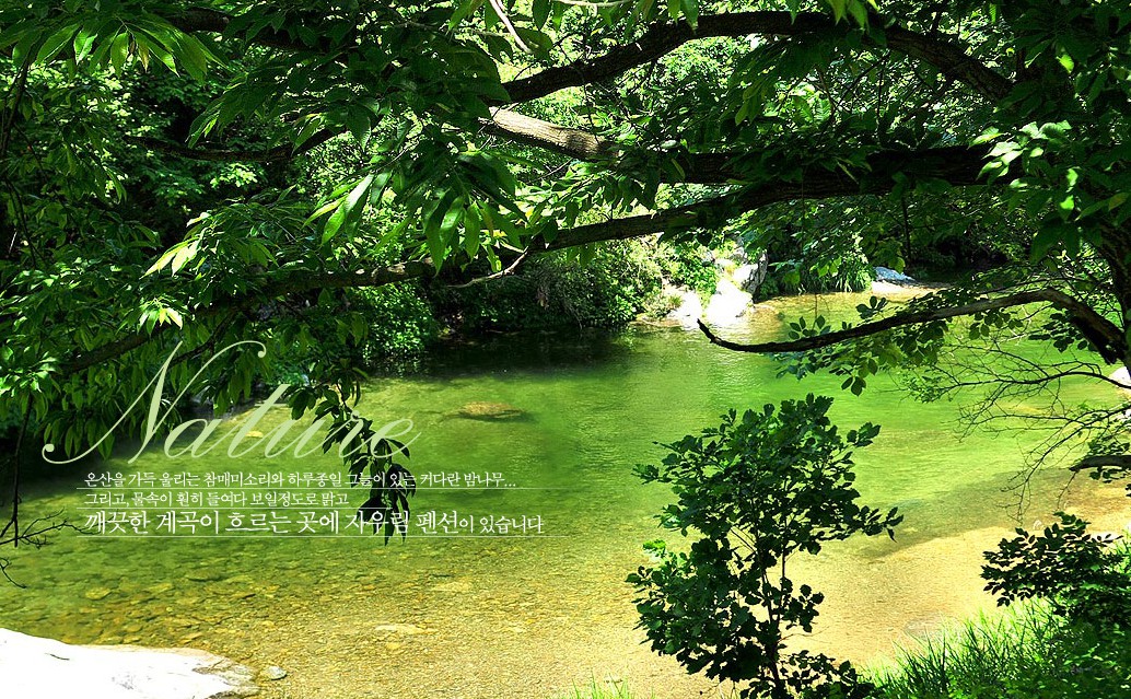 가평 자우림캠핑장 이미지 1